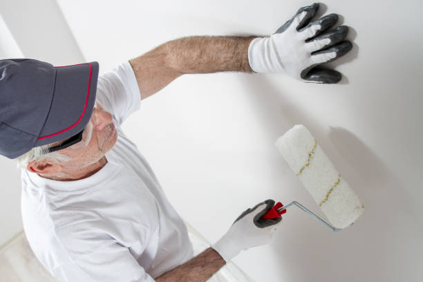 Professional Mold Removal in Catawissa, PA